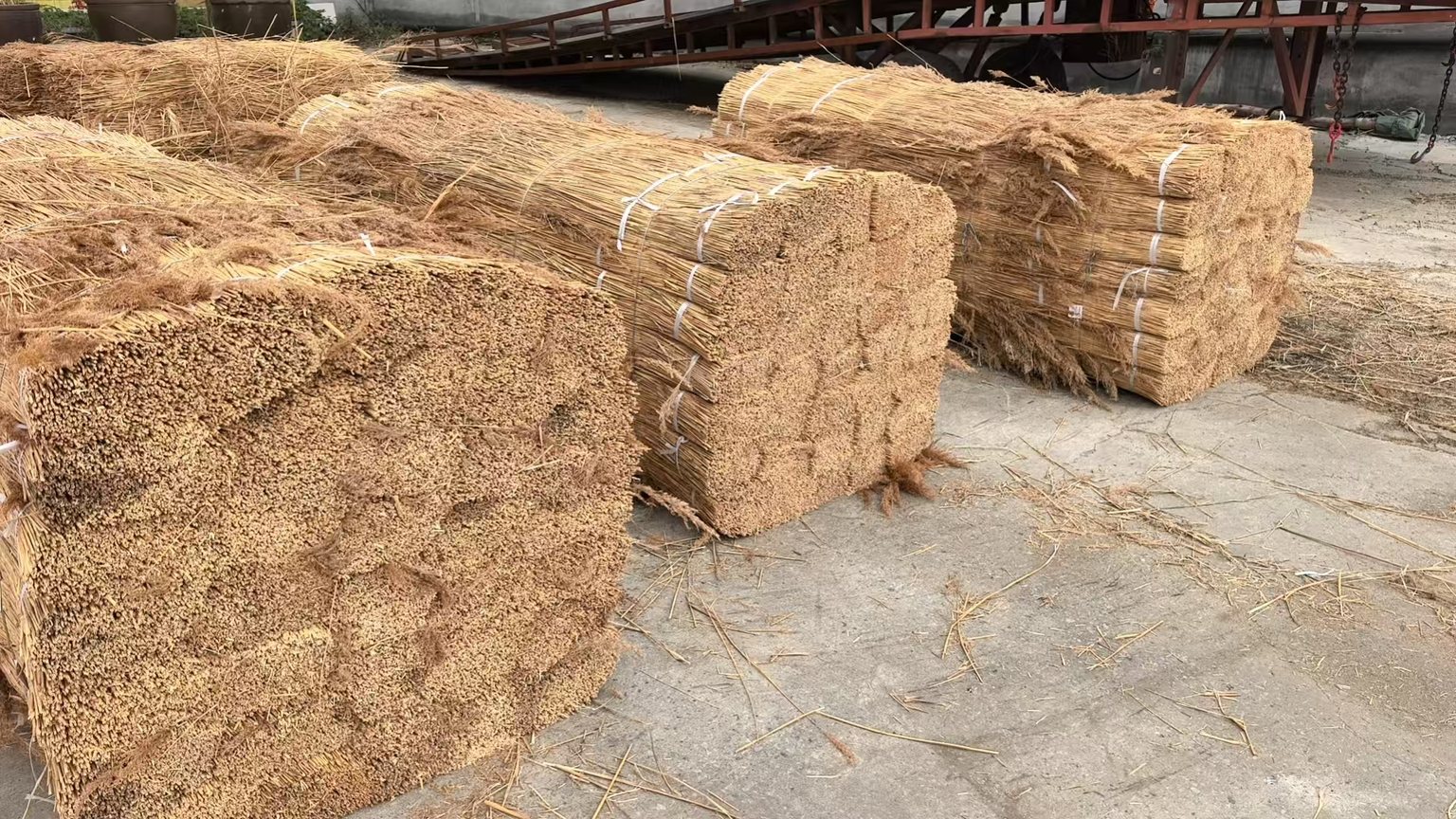 Mature water reed thatched roof showing durable weathered texture