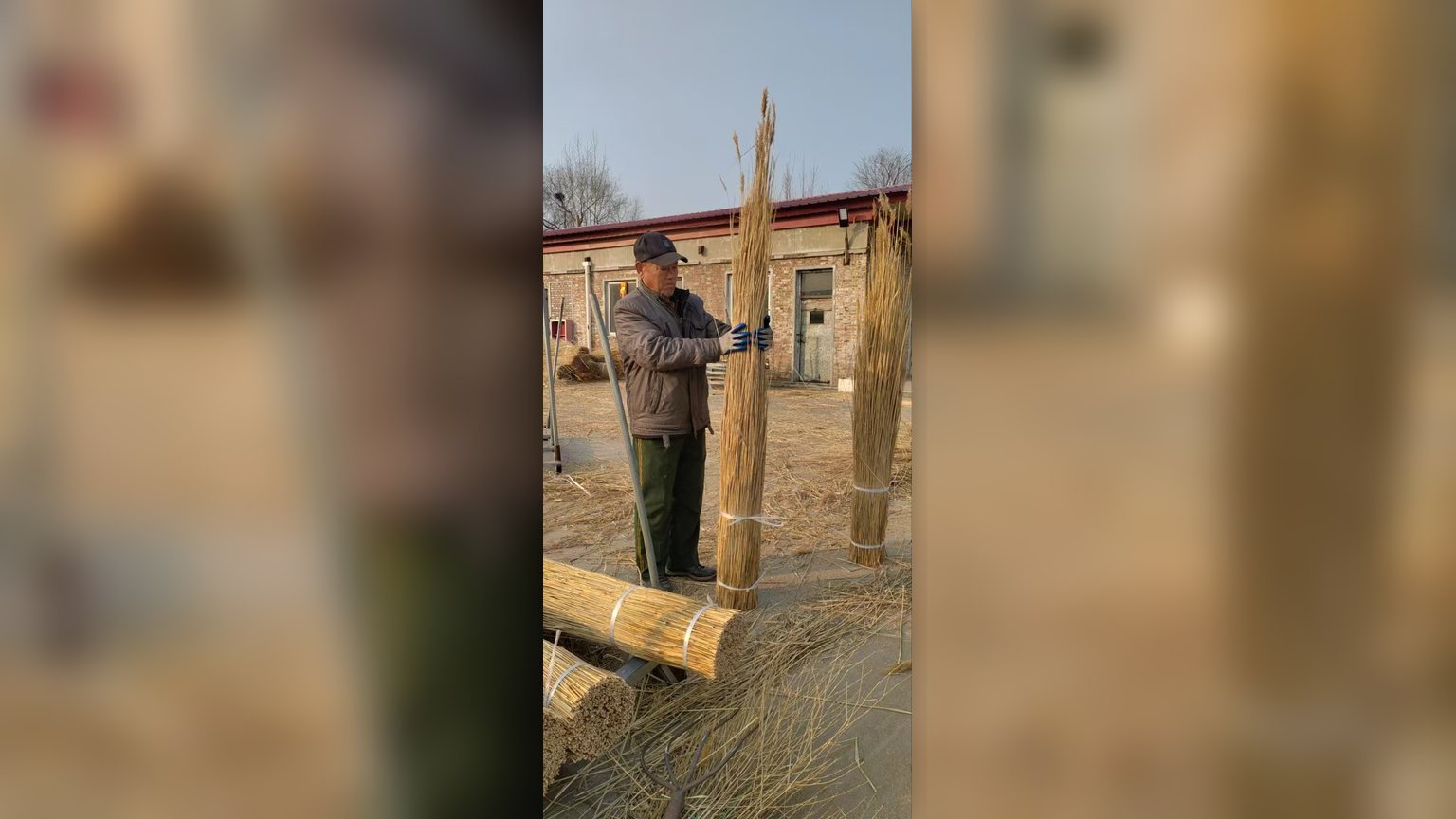 Reed bundles and skilled labour behind thatched roof cost