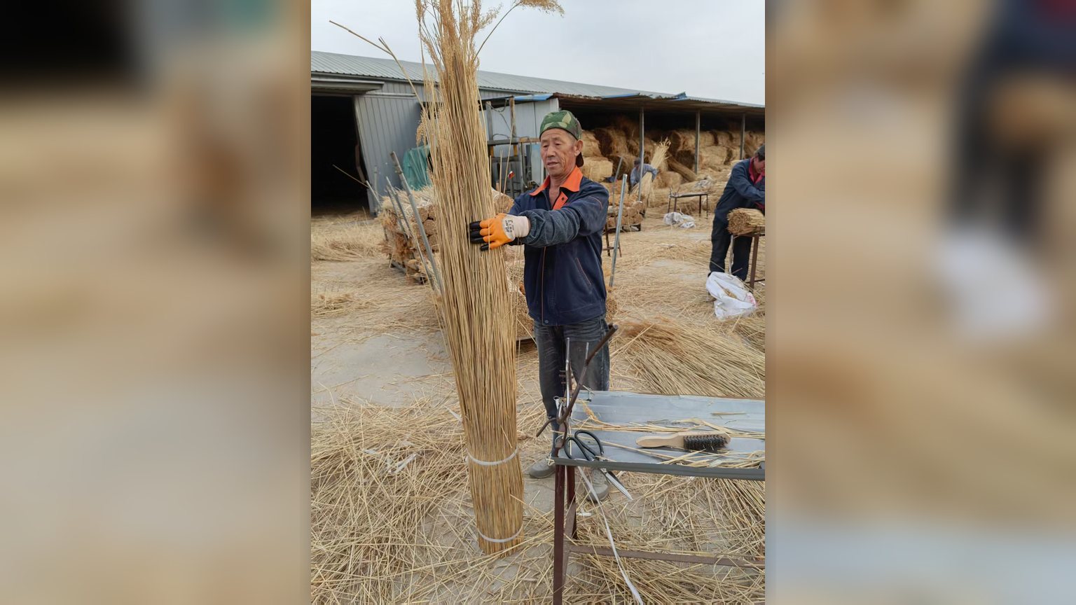 Thatcher laying reed bundles on a steep roof