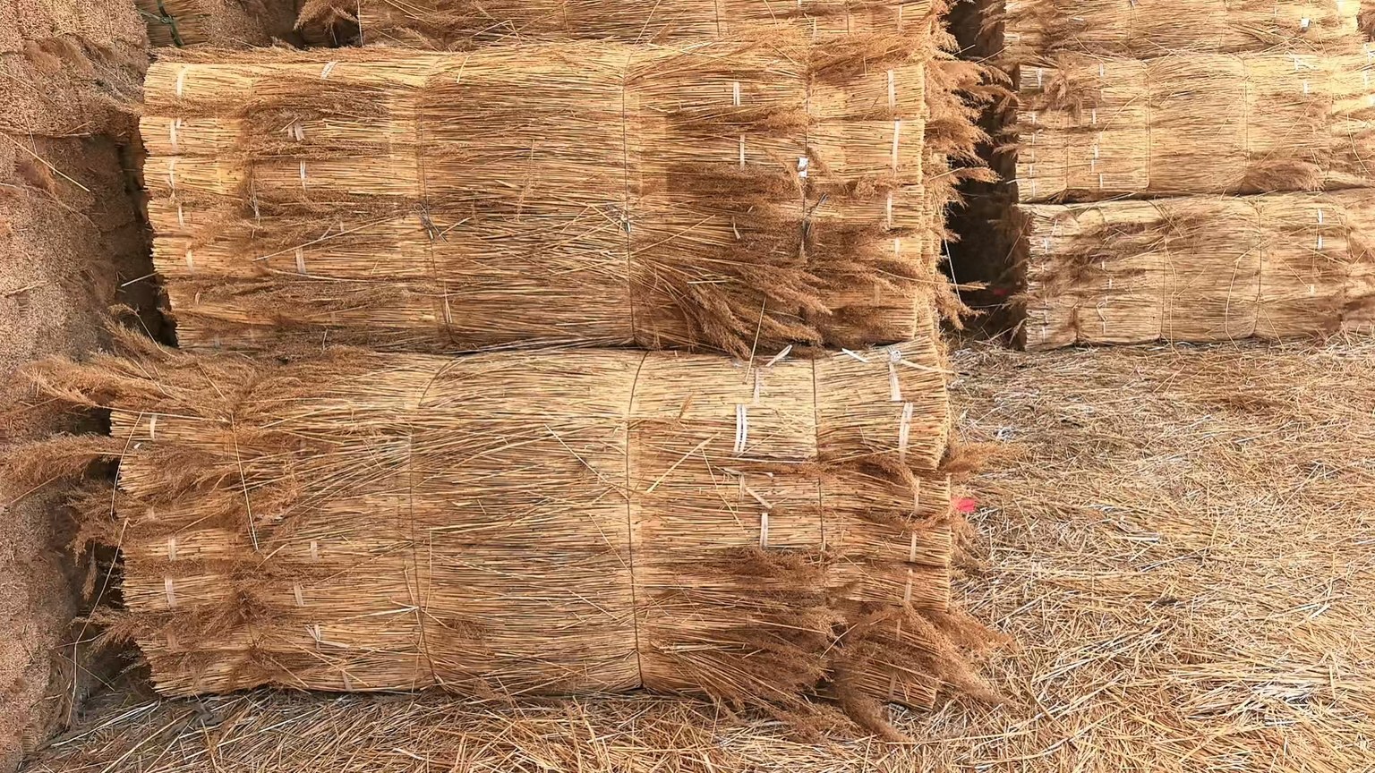 Close view of bundled natural reed for material comparison